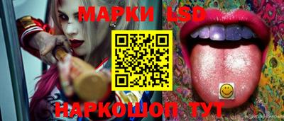 крисы Новозыбков