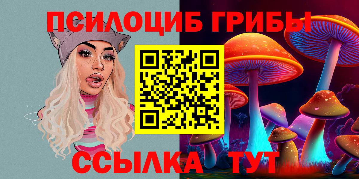 Псилоцибиновые грибы мицелий Новошахтинск