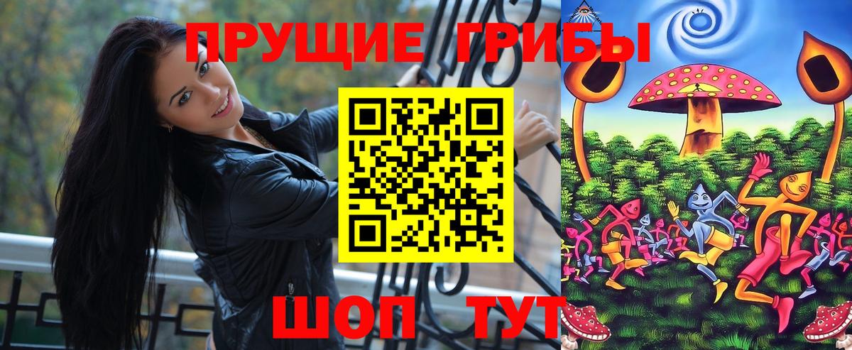 магазин  наркотиков  Псилоцибиновые грибы мицелий  Вход с VPN  Новошахтинск  Псилоцибиновые грибы прущие грибы 